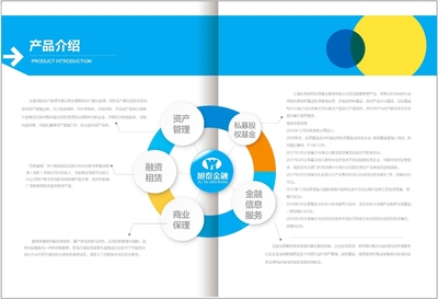 簡約與高端的藝術融合 專業(yè)金融與美業(yè)畫冊設計服務